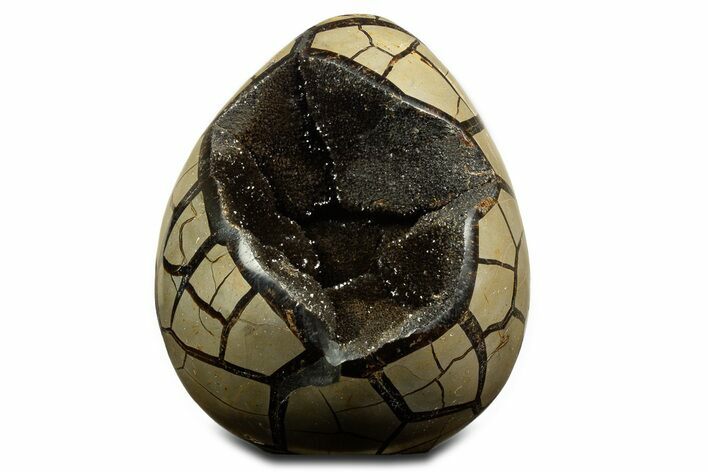 Polished Dragon Egg Septarian Geode - Free-Standing #344450